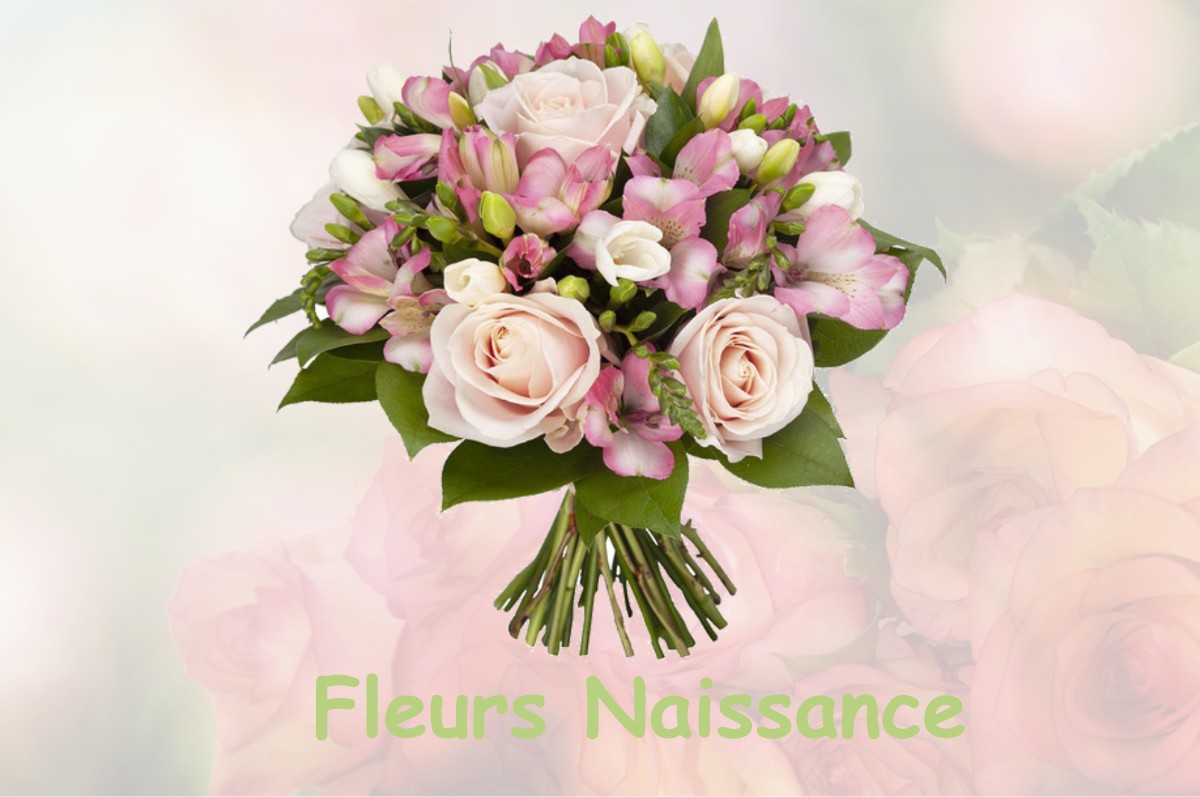 fleurs naissance JURVIELLE