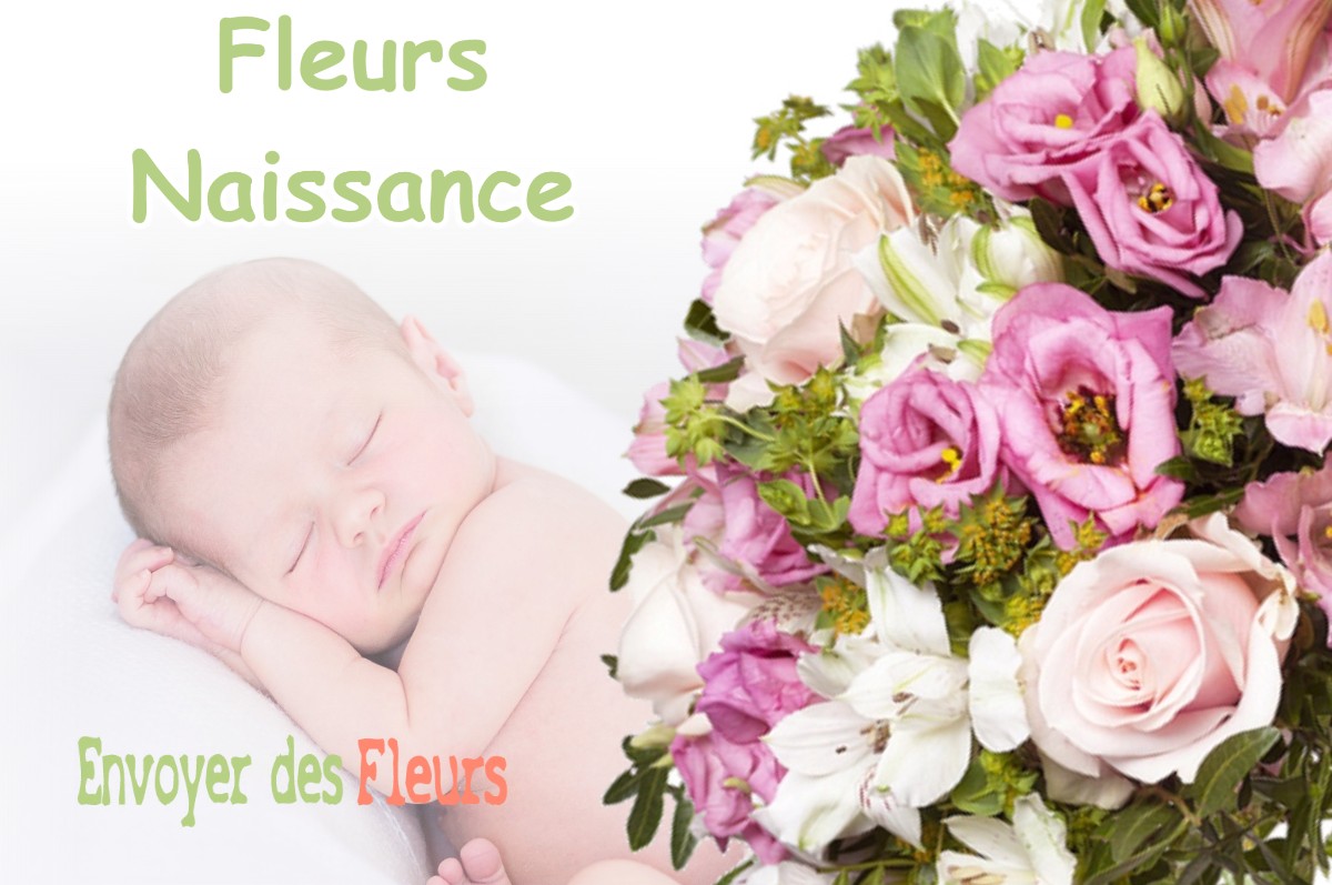 lIVRAISON FLEURS NAISSANCE à JURVIELLE